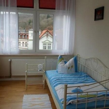 Wohnung In Blankenburg Harz Mit Grill, Garten Und Terrasse Kültér fotó